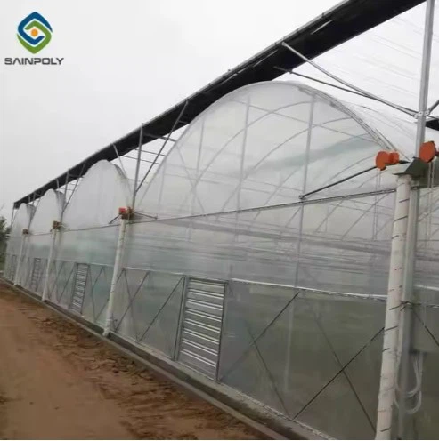 Poly Film Greenhouse Poly Film Greenhouse